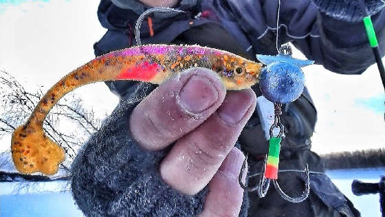 НА ЗАПРЕЩЁННУЮ ПРИМАНКУ В ДИКИХ КОРЯГАХ