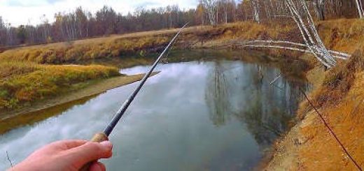 Как найти и поймать рыбу на новом участке реки осенью?