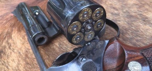 Model 29-2 44 Magnum
