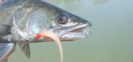 Дропшот в холодной воде