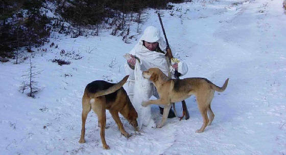 на охоте С ГОНЧИМИ в мороз