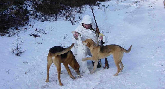 на охоте С ГОНЧИМИ в мороз