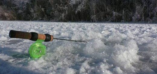 Мирная рыба кидается на блесну