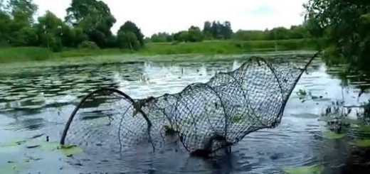 Рыбалка Мордушками
