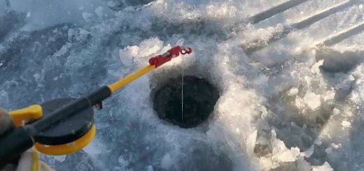 Рыбалка на Братском водохранилище