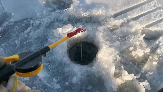 Рыбалка на Братском водохранилище