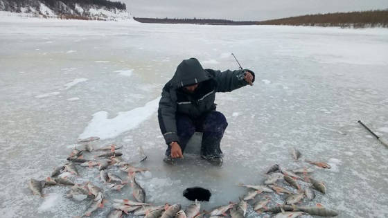 рыбалка и охота на севере якутии