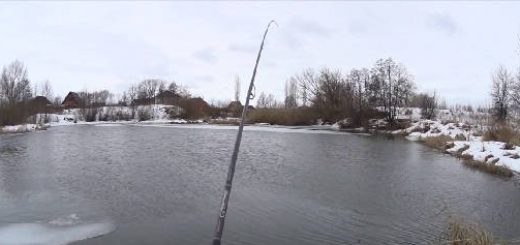 как поймать на спиннинг в мороз