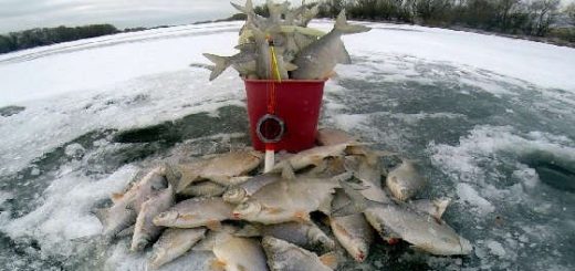 Зимняя рыбалка в оттепель