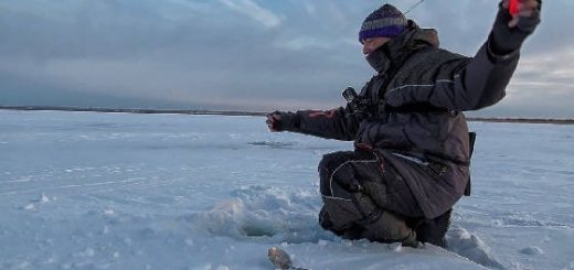 ЯЗЬ И ЕРШ С ОПОЛОНКИ НА МОРМЫШКУ