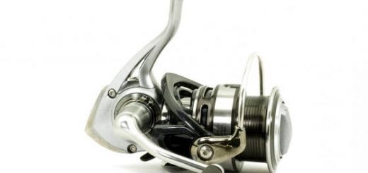 Daiwa Caldia 2500 A