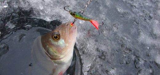 балансир для ловли хищной рыбы зимой