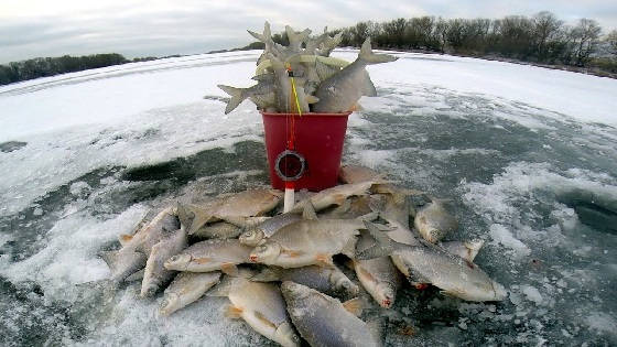 Рыбалка зимой на белую рыбу