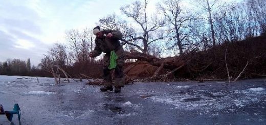 Безмотылка в корягах на малой реке