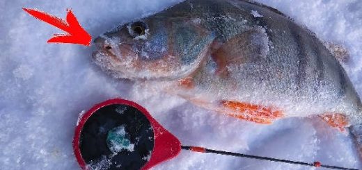 Зимняя рыбалка на мормышку в глухозимье