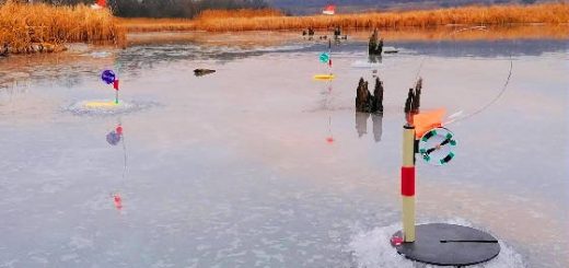 ЖЕРЛИЦЫ на Щуку в НЕЗНАКОМОМ Месте