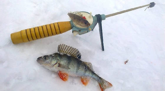 Самый уловистый монтаж зимней удочки - Охота и рыбалка, животные, туризм