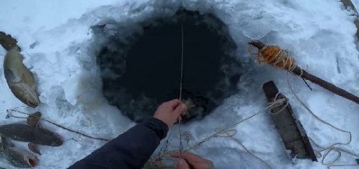 Рыбалка на Севере: Туруханский район