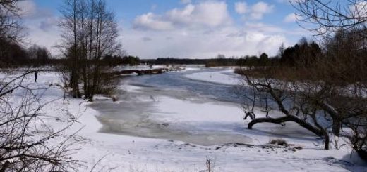 Поиск РЫБЫ на затоках реки Неман