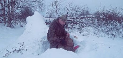 Охота в январе на лыжах по пухляку