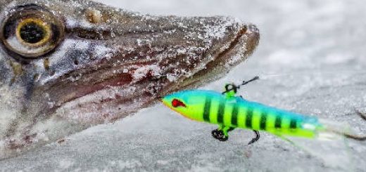 Надежный поводок для зимней рыбалки
