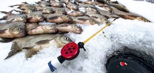 Рыбалка в ЛЮТЫЙ СИБИРСКИЙ МОРОЗ