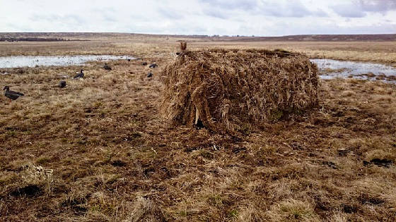 КАК БЫСТРО СОБРАТЬ СКРАДОК?