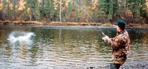 Сколько стоит охота и рыбалка в Тыве