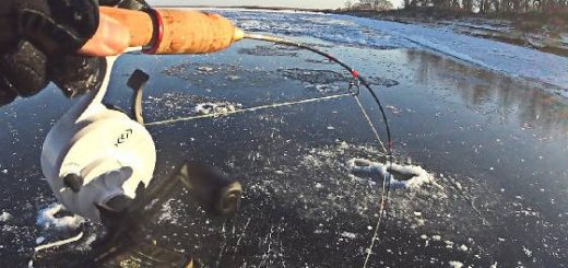 Рыбалка на вибы на Волге со льда