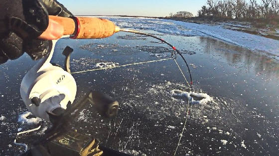 Рыбалка на вибы на Волге со льда