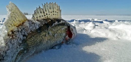 рыбалка на водохранилище зимой