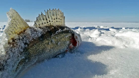 рыбалка на водохранилище зимой