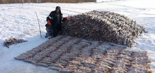 Рыбалка в Якутии за гранью реальности