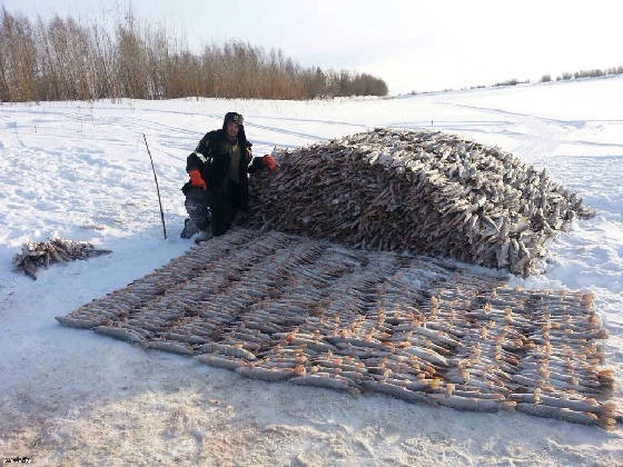 Рыбалка в Якутии за гранью реальности