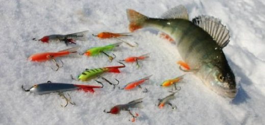 зимняя рыбалка для начинающих