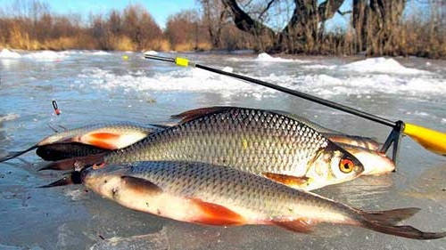 Рыбалка в Феврале на мормышку