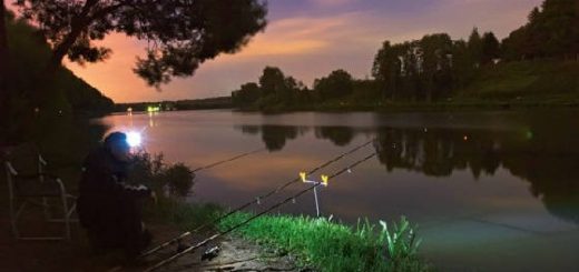 Ночная рыбалка на сома