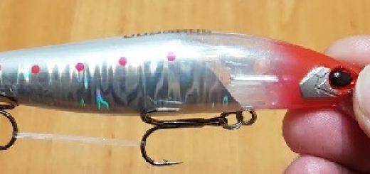 Копия Shimano EXSENCE Shallow Assassin 99F Flash Boost от Johncoo