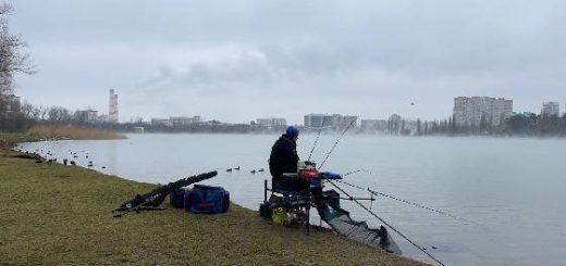 Winter feeder Cup! Полуфинал!