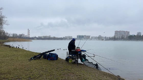 Winter feeder Cup! Полуфинал!