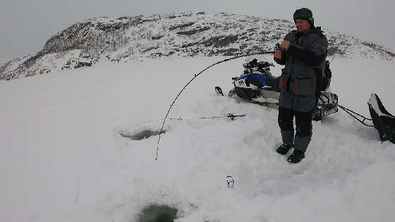 Рыбалка со льда в Баренцевом море зимой