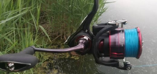 Катушка Daiwa Fuego LT