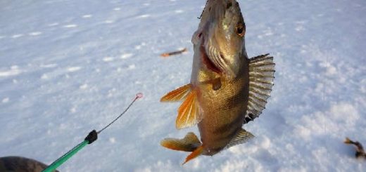 Рыбалка на Севере в глухозимье