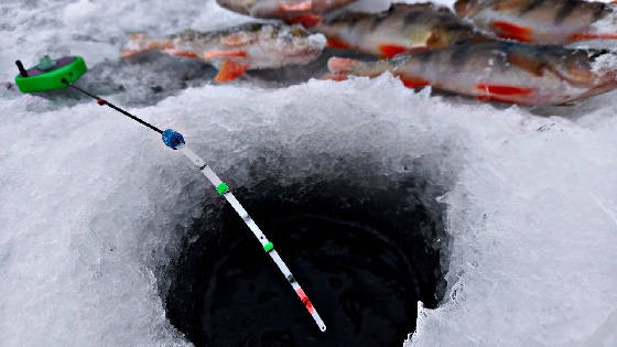 Зимняя Рыбалка в Глухозимье 2021