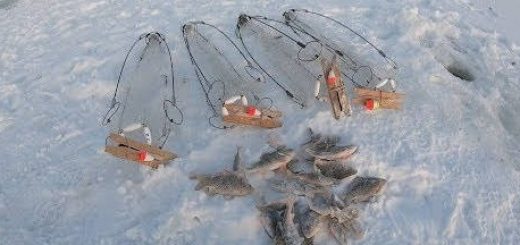 Рыбалка на сазана зимой с хапугами