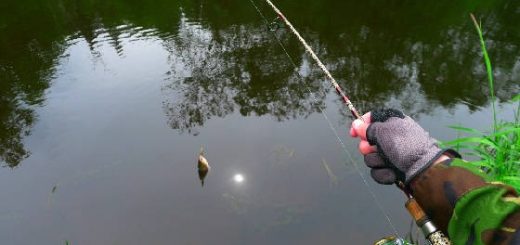 Рыбалка в Республике Коми на спиннинг
