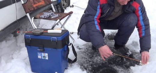 Чем занимается рыба зимой в озере Кучелиново