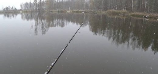 Тактика Лова Пассивного Окуня