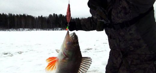 Рыбалка в Республике Коми на блесну