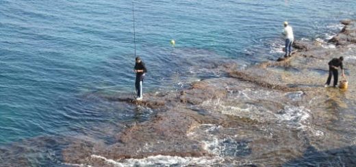 Какую рыбу и когда ловить на Черном море?